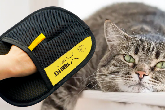 How Often Should You Use Grooming Gloves on Your Pet?