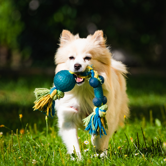 Grooming for Optimal Skin Health